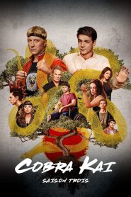 Cobra Kai: Saison 3