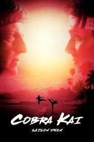 Cobra Kai: Saison 2