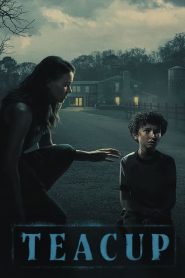 Teacup: Saison 1