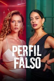 Faux profil: Saison 2